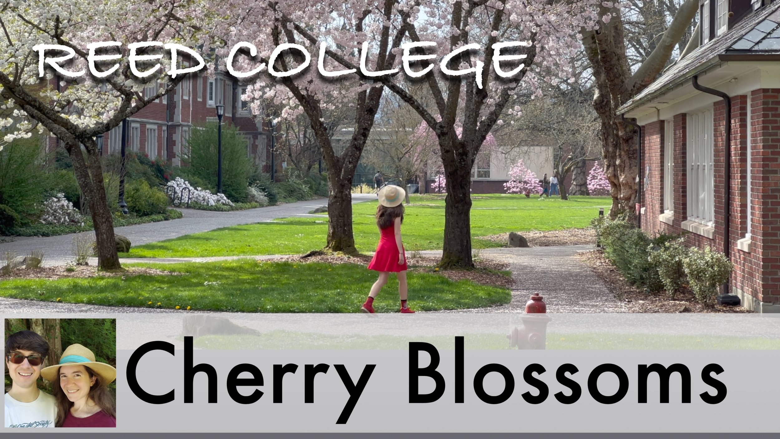 Cherry Blossoms in Portland: The Top 2 Spots
