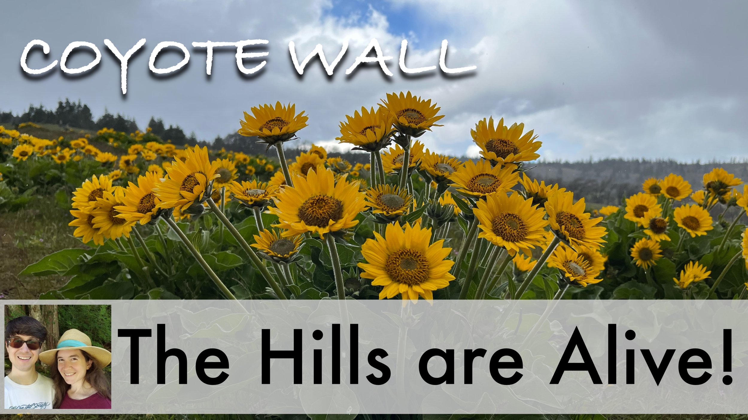 Coyote Wall Loop Trail: Spring Escape to Balsamroot Meadows