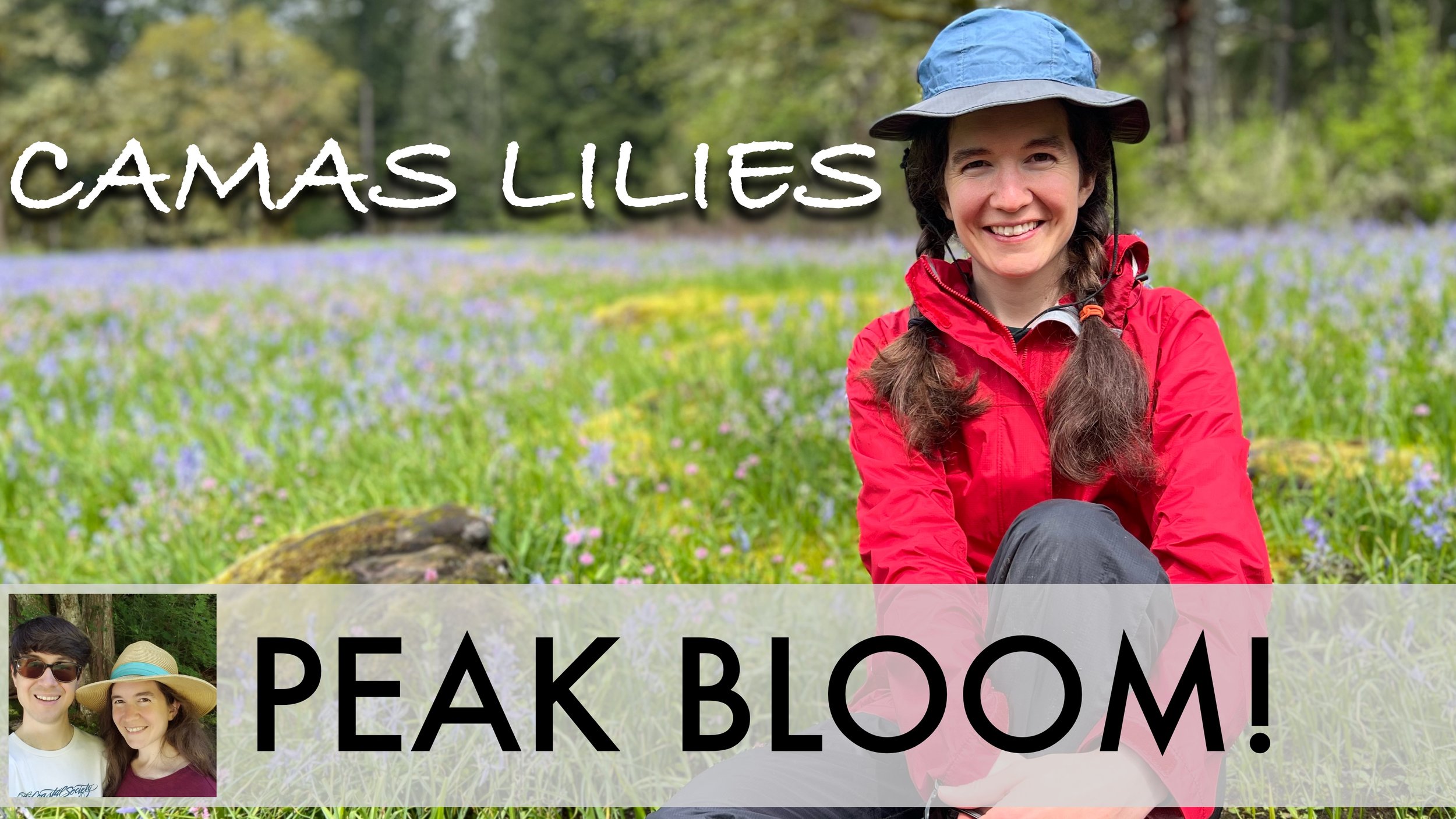 How to See the Camas Lily Fields at Lacamas Park