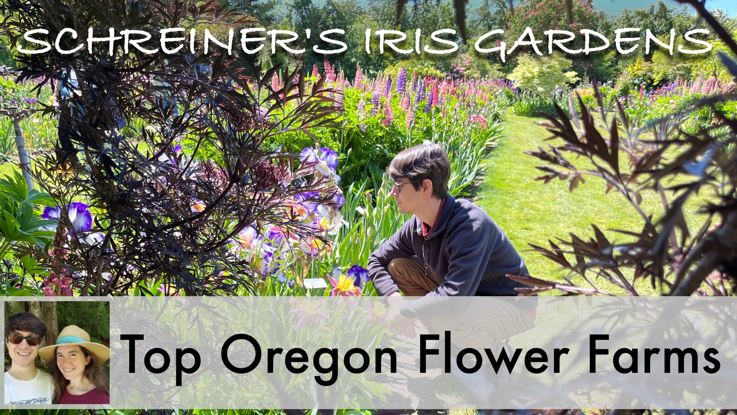 An Iris Garden for your Oregon Flower Farms Itinerary