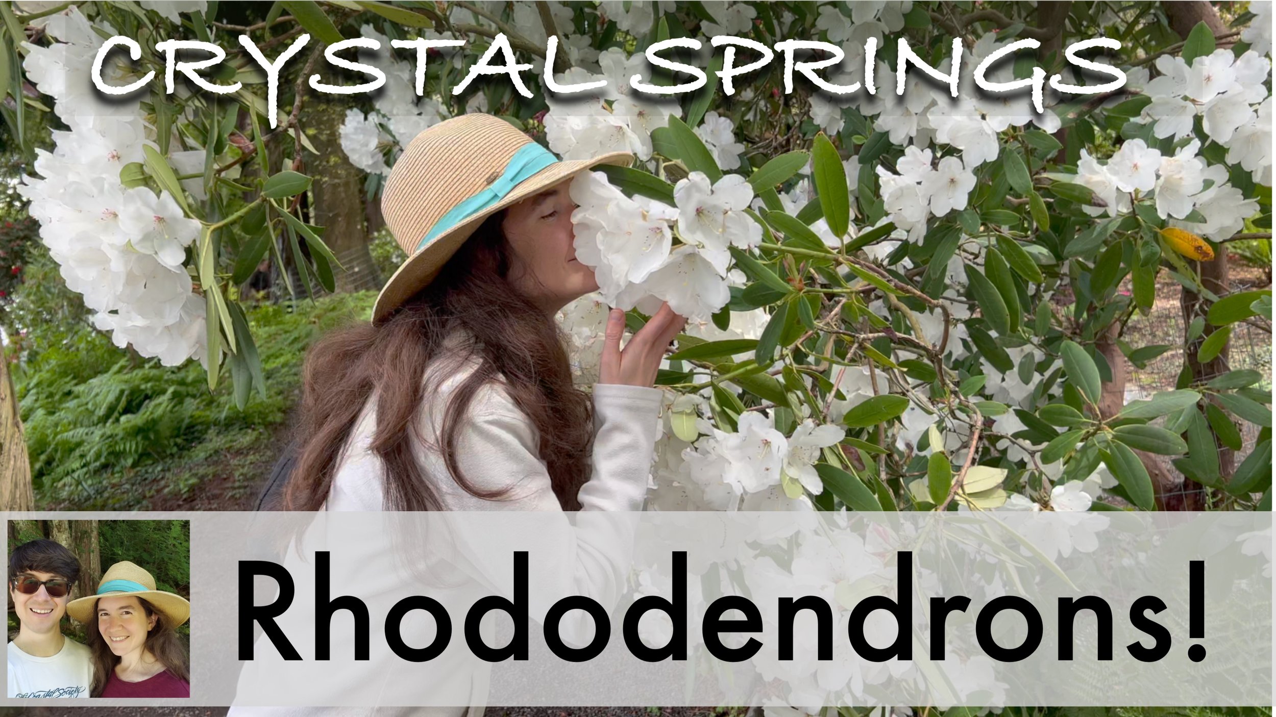 Tips for your Visit to the Portland Rhododendron Garden
