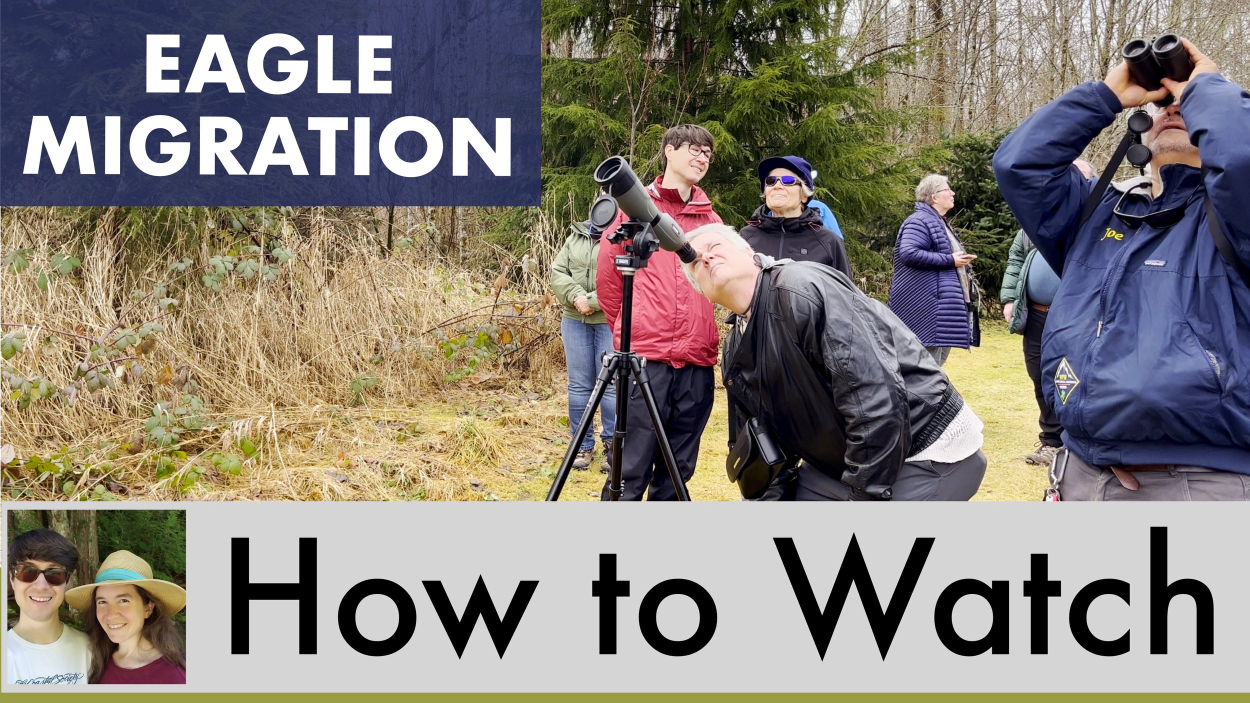 Where to See Bald Eagles in Washington State